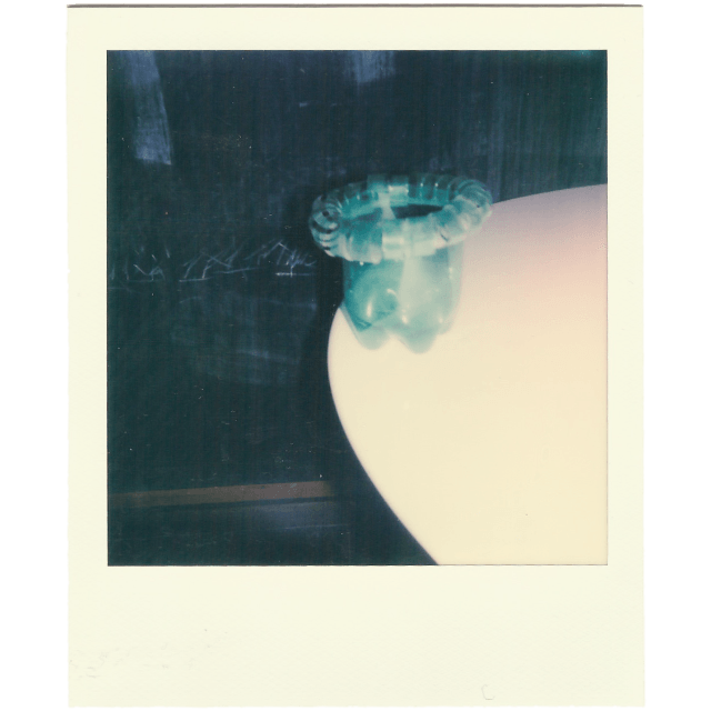 The plastic bottle vase
